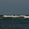 IMG_6978.JPG