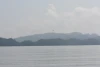 IMG_7060.JPG