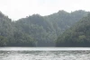 IMG_7070.JPG