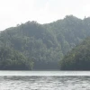 IMG_7070.JPG