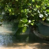 IMG_7087.JPG
