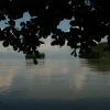 IMG_7090.JPG