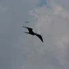 IMG_7118.JPG