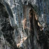 IMG_7132.JPG