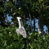 IMG_7152.JPG