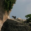 IMG_7159.JPG