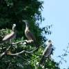 IMG_7168.JPG
