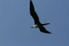 IMG_7190.JPG