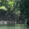 IMG_7211.JPG