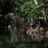 IMG_7244.JPG