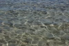 IMG_7280.JPG