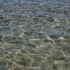 IMG_7280.JPG