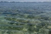 IMG_7288.JPG