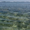 IMG_7288.JPG