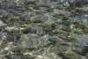 IMG_7292.JPG