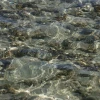 IMG_7292.JPG