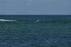 IMG_7316.JPG