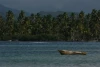 IMG_7328.JPG