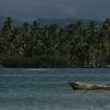 IMG_7328.JPG