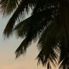 IMG_7352.JPG
