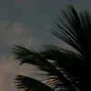 IMG_7366.JPG
