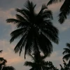 IMG_7368.JPG