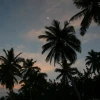 IMG_7370.JPG