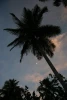 IMG_7374.JPG