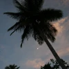 IMG_7374.JPG