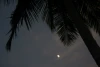 IMG_7376.JPG