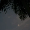 IMG_7376.JPG