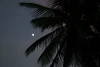 IMG_7382.JPG