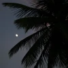 IMG_7382.JPG