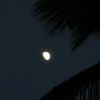 IMG_7387.JPG