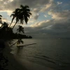 IMG_7404.JPG