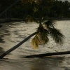 IMG_7406.JPG