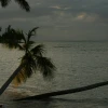 IMG_7407.JPG