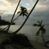 IMG_7411.JPG