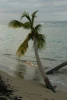 IMG_7412.JPG