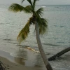 IMG_7412.JPG