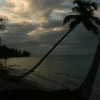 IMG_7427.JPG