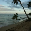 IMG_7431.JPG