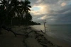 IMG_7433.JPG