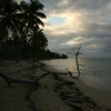IMG_7433.JPG