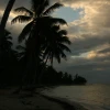 IMG_7437.JPG