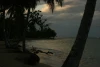IMG_7440.JPG