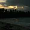 IMG_7453.JPG