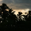 IMG_7458.JPG