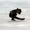 IMG_3799.jpg