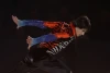 Stéphane Lambiel "The Four Seasons"
